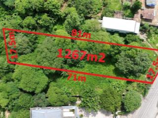 Cần bán 1.1267m2 đinh quang ân, biên hoà, đồng nai. 17,5m x 81m