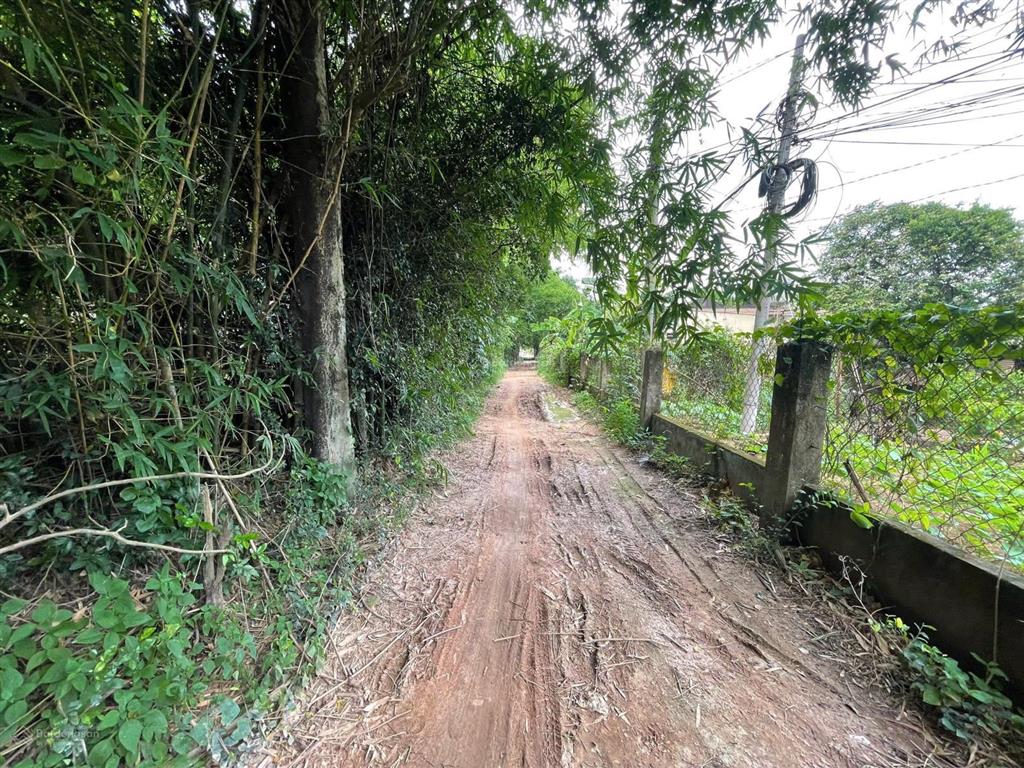 Hạ giá 1,5 tỷ, cần bán gấp 1.267m2 đinh quang ân, biên hòa, đồng nai. 17,5m x 81m