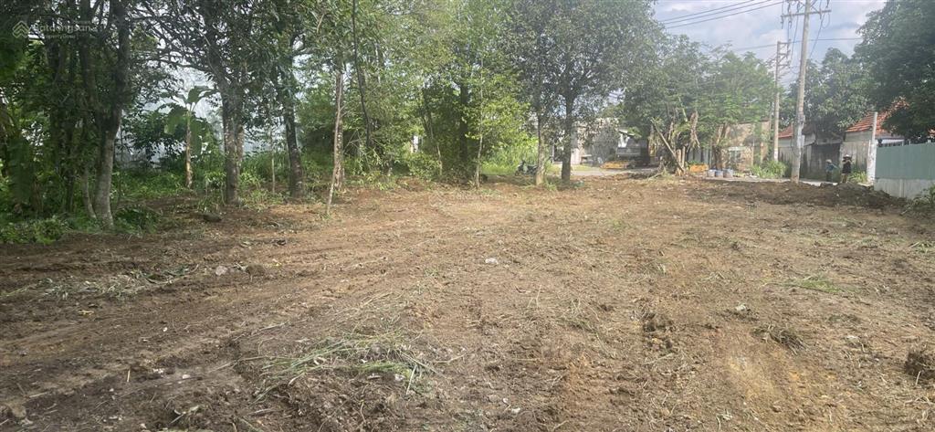 Hạ giá 1,5 tỷ, cần bán gấp 1.267m2 đinh quang ân, biên hòa, đồng nai. 17,5m x 81m
