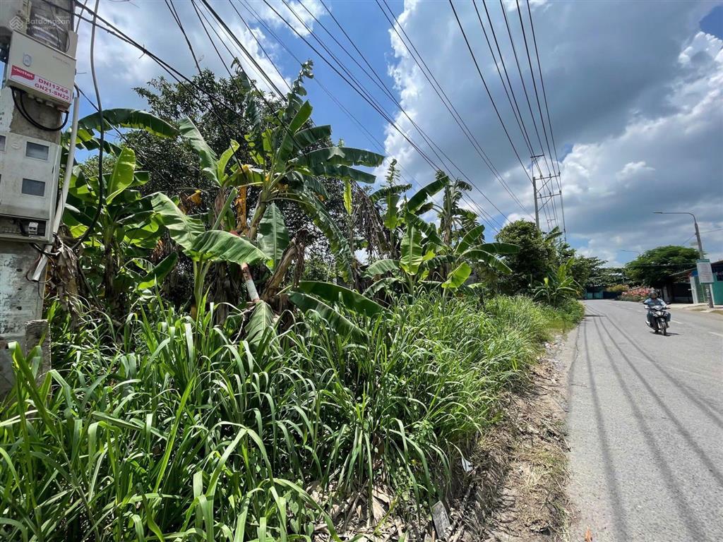 Hạ giá 1,5 tỷ, cần bán gấp 1.267m2 đinh quang ân, biên hòa, đồng nai. 17,5m x 81m