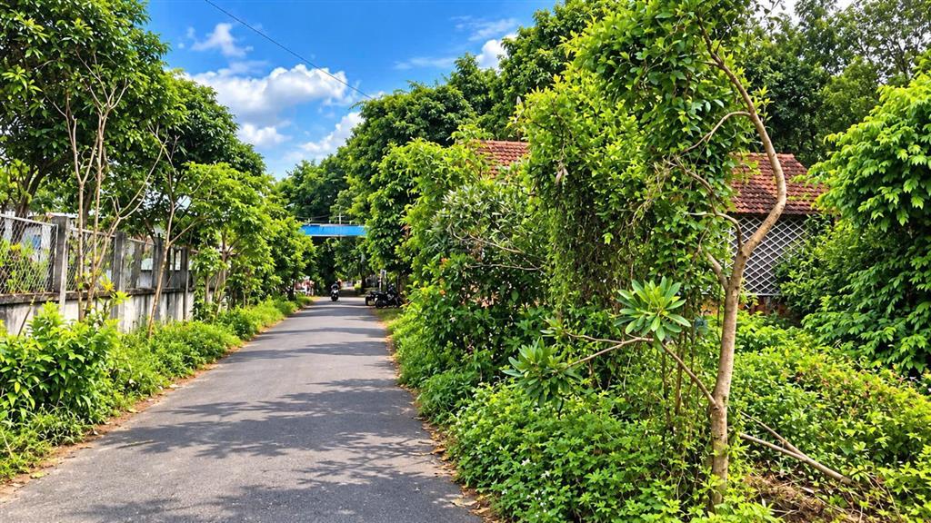 Nhà giá rẻ đáng đầu tư  218m2  ngang 11  xã tân hiệp, long thành  cách đường chính 50m