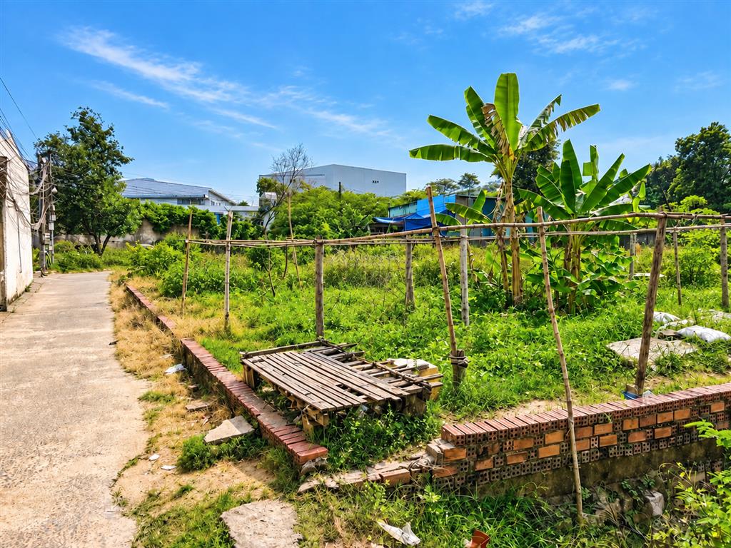 Cần bán ~1000m2 tam an  cạnh kcn long thành  100m2 thổ cư  ngang 31m
