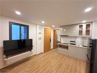 Cho thuê căn hộ 1pn quận 1  full nội thất, cửa sổ lớn