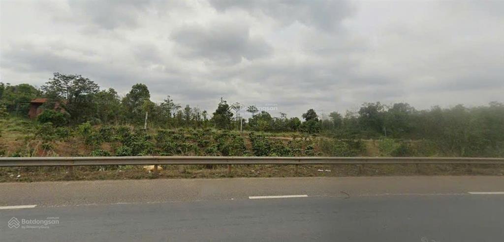 Bán đất qh thương mại dịch vụ mặt tiền quốc lộ 14 thuận an, đắk mil 1639m2 giá chỉ 1,099 tỷ