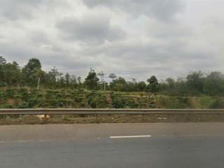 Bán đất qh thương mại dịch vụ mặt tiền quốc lộ 14 thuận an, đắk mil 1639m2 giá chỉ 1,099 tỷ