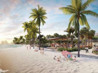 Căn hộ studio aria bay tower hạ long tiện ích 5* mặt biển thiết kế độc lạ đầu tư sinh lời bền vững