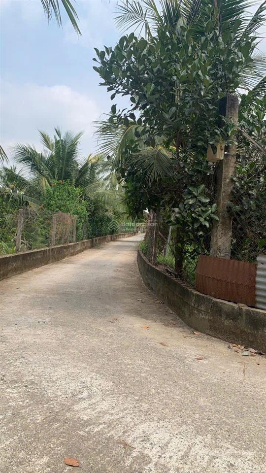 Cần bán vườn cây ăn trái tâm huyết xã tam an, long thành, đồng nai