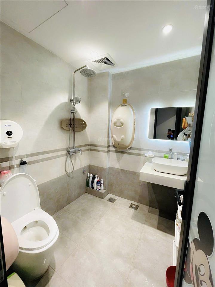 Bán nhà đẹp 45m2 chính chủ tại phố hai bà trưng  hồng mai  hai bà trưng  hà nội