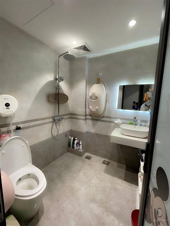 Nhà đẹp hồng mai gần ô tô ở ngay trung tâm tiện ích  45m2  5 tầng xịn xò