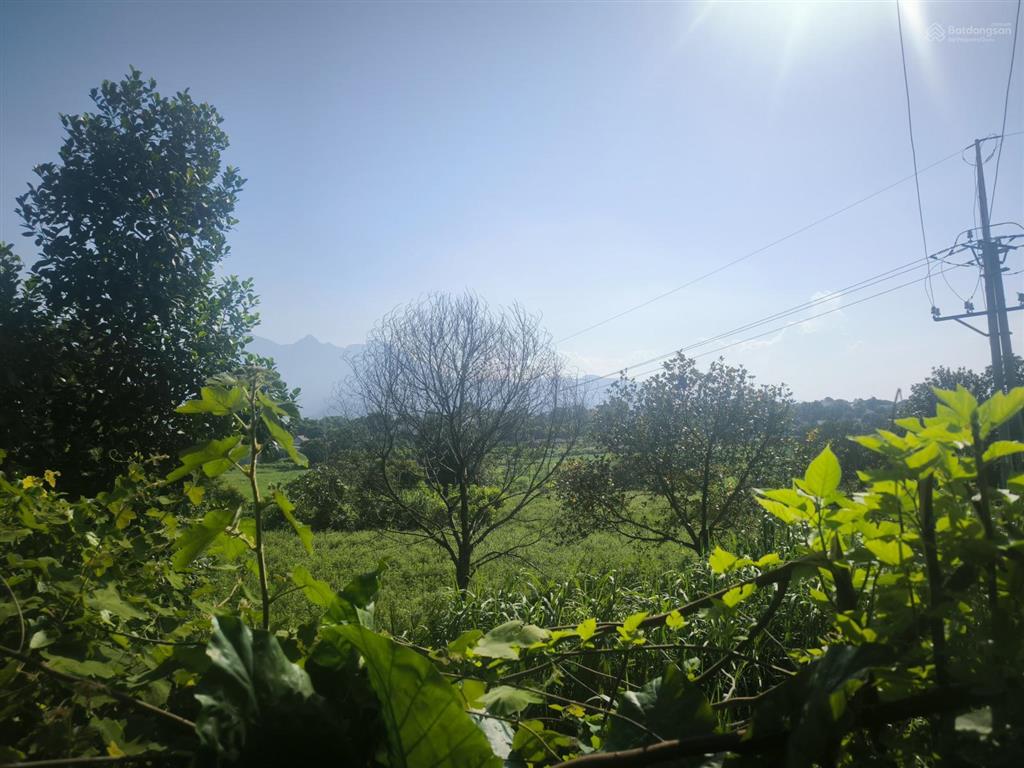 Bán trang trại khu nghỉ dưỡng view đẹp tại thôn tam mỹ, giá thỏa thuận, 5500m2