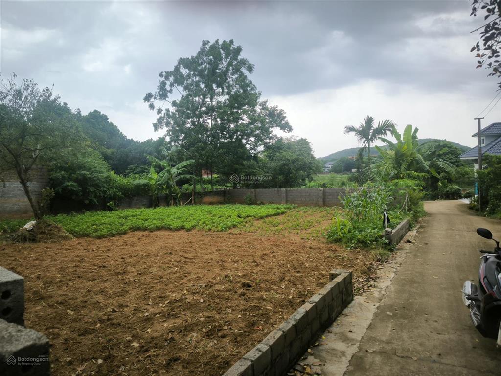 Bán đất tại thôn mít mái, giá thỏa thuận, 300m2, mặt tiền 20m, ngõ 4m