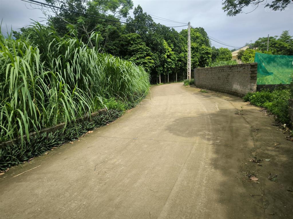 Bán đất đẹp tại thôn muồng phú vàng, 7,5 triệu / m2, 729 m2