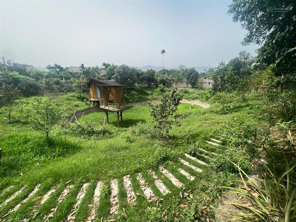 Bán quỹ đất lớn 5.876m2 làm nghỉ dưỡng & phân lô cực tiềm năng tại cổ rùa, phú mãn