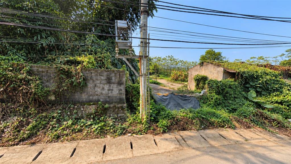 Quỹ đất rộng tại trán voi, phú mãn 1.482 m