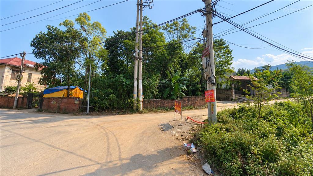 Tìm quỹ đất rộng tại trán voi, phú mãn 1.787m2