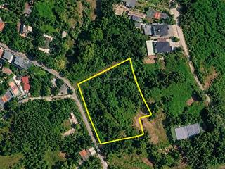 Tìm quỹ đất rộng tại trán voi, phú mãn 1.787m2