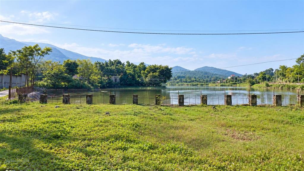 Tìm quỹ đất rộng tại trán voi, phú mãn 1.787m2