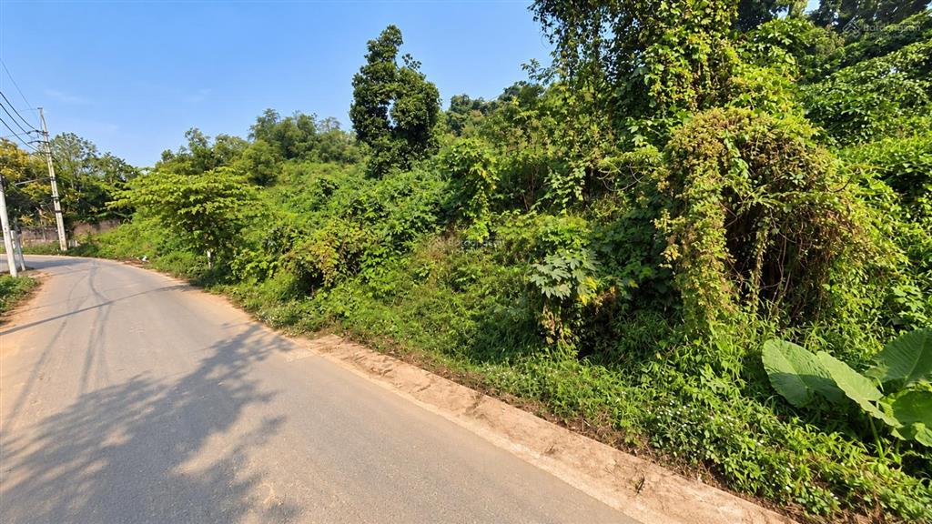 Tìm quỹ đất rộng tại trán voi, phú mãn 1.787m2