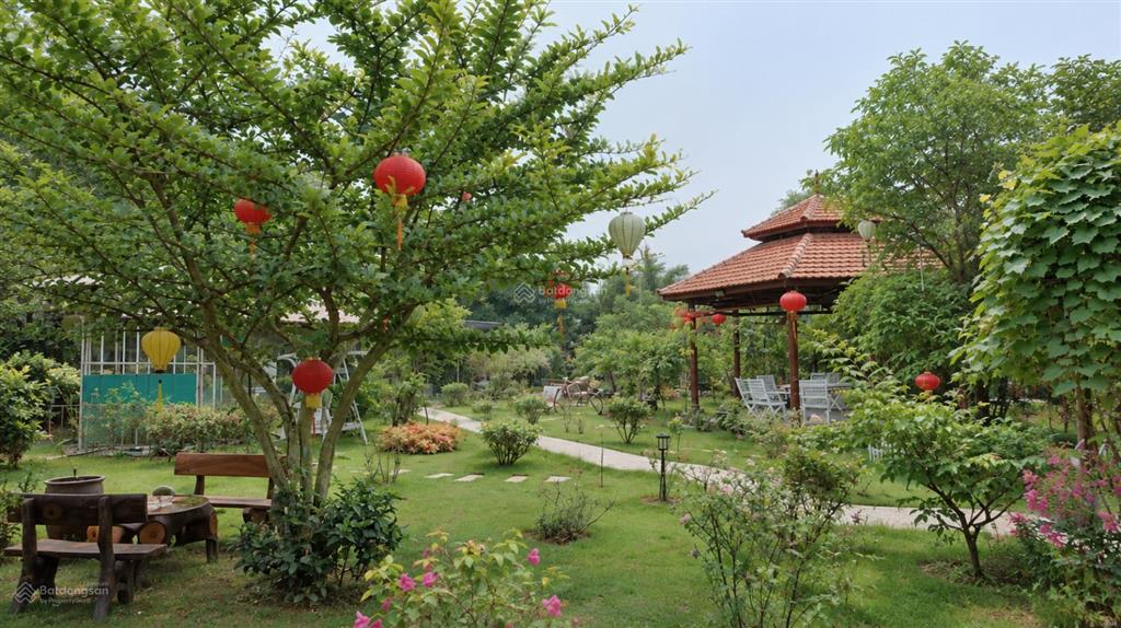 Đất rộng + villa cổ rùa, phú cát | 1990m2