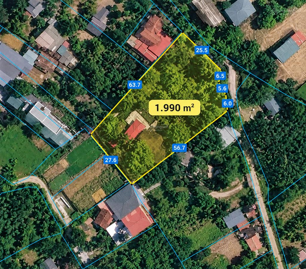 Đất rộng + villa cổ rùa, phú cát | 1990m2