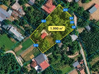 Đất rộng + villa cổ rùa, phú cát | 1990m2