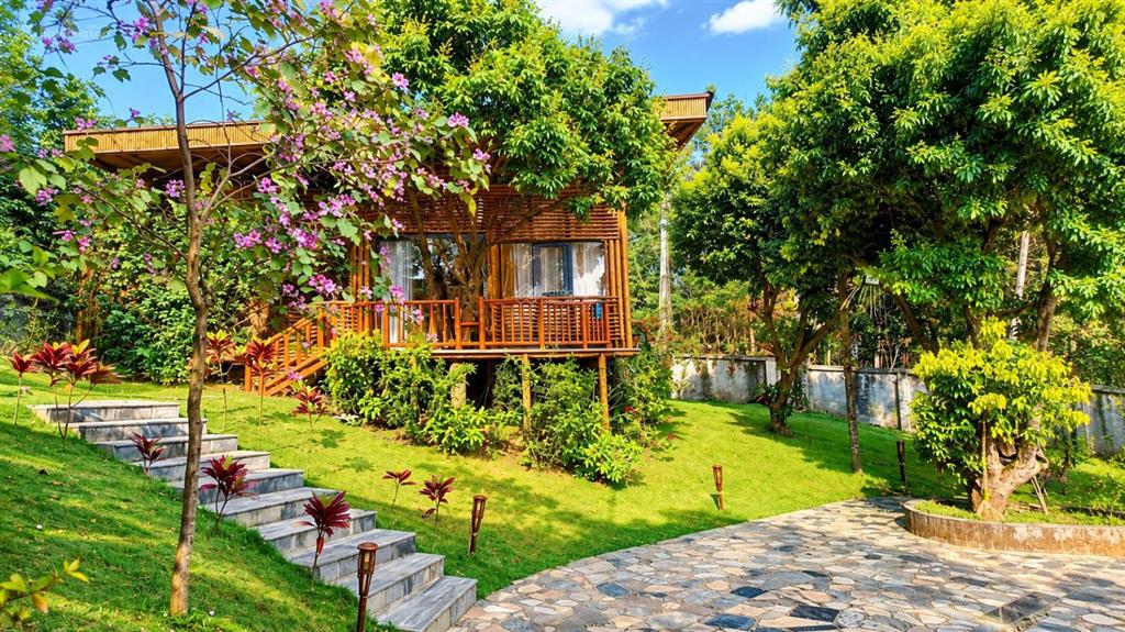 Quỹ đất siêu lớn + villa cổ rùa, phú cát | 3.059,1m2