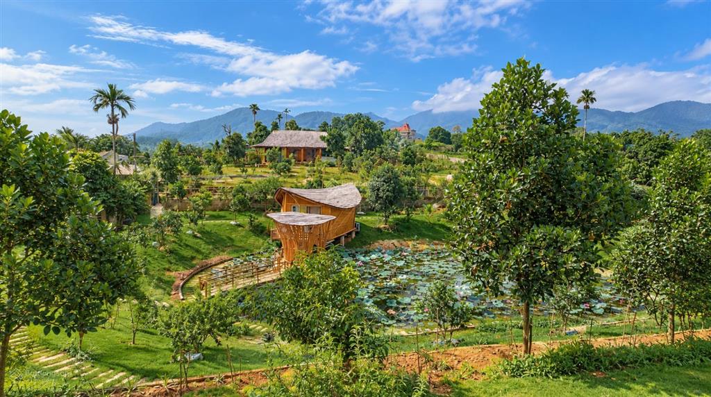 Đất cổ rùa, quốc oai 827,2 m, chủ đất bán để cho con đi học