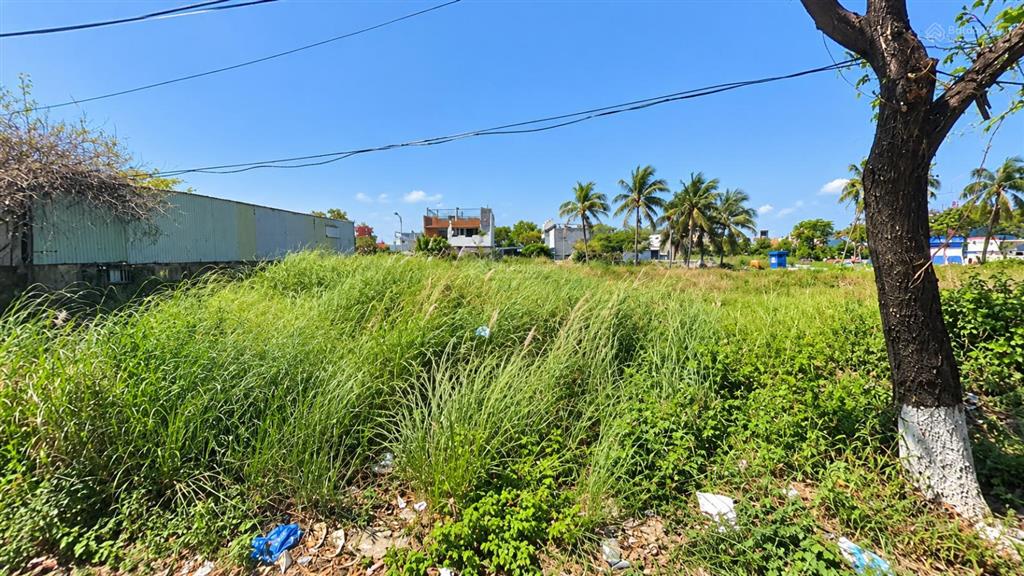Bán lô đất biệt thự đường nguyễn trực | 244m2