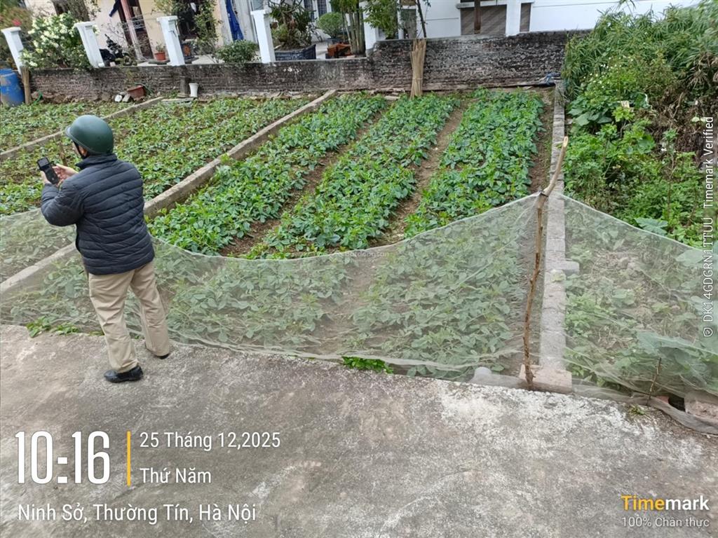 Bán đất ninh sở  thường tín. giá 3,65 tỷ