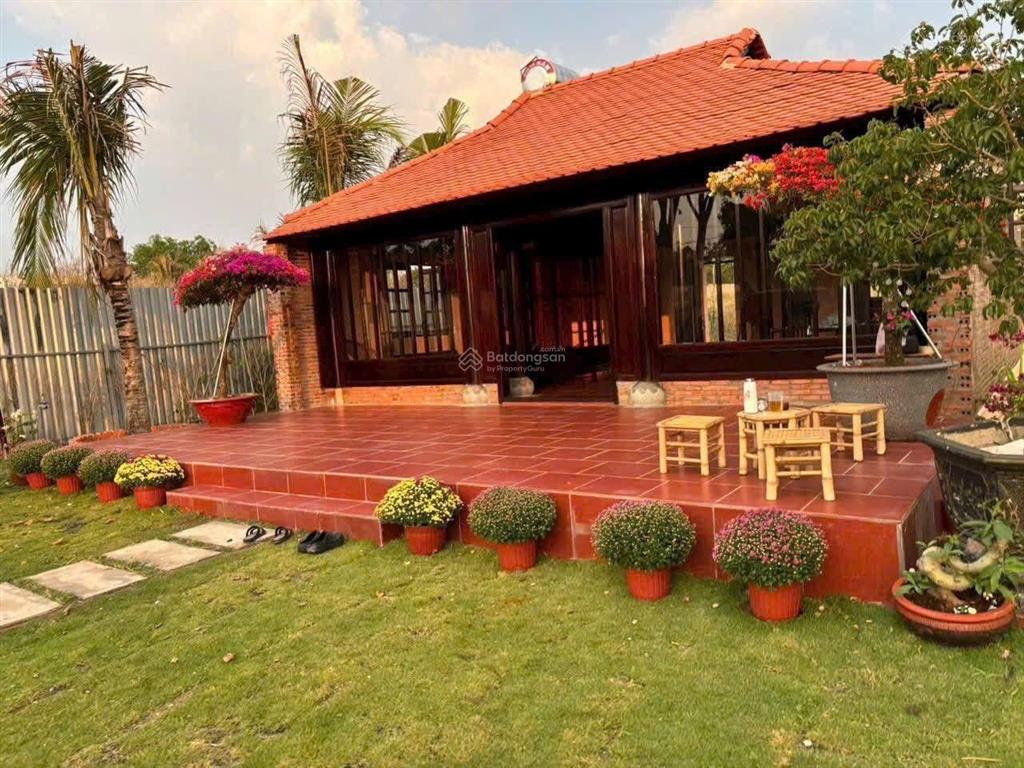 Mảnh đất vườn 1000m2 chính chủ gửi giá 910triệu ở trừ văn thố, bàu bàng, tphcm gần chợ trừ văn thố.