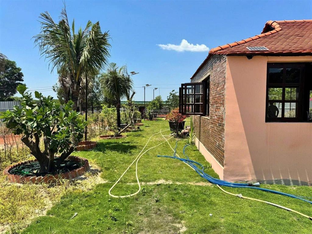 Mảnh đất vườn 1000m2 chính chủ gửi giá 910triệu ở trừ văn thố, bàu bàng, tphcm gần chợ trừ văn thố.