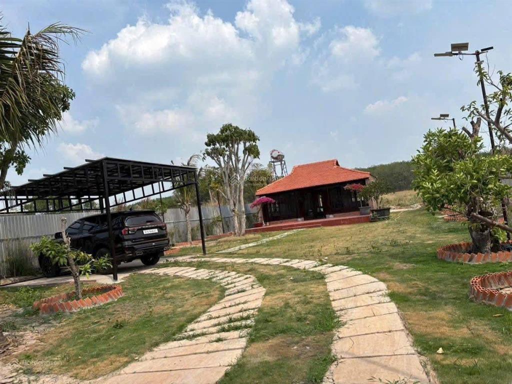 Mảnh đất vườn 1000m2 chính chủ gửi giá 910triệu ở trừ văn thố, bàu bàng, tphcm gần chợ trừ văn thố.