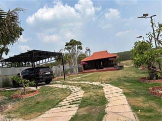 Mảnh đất vườn 1000m2 chính chủ gửi giá 910triệu ở trừ văn thố, bàu bàng, tphcm gần chợ trừ văn thố.