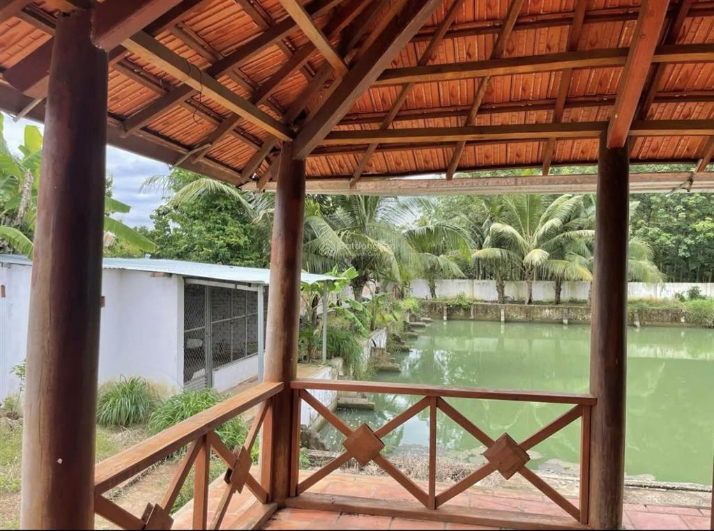 Bán gấp lô đất vườn 1000m2 chỉ 610triệu ngay ngã tư chơn thành phường minh thành, chơn thành