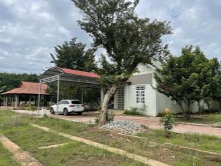 Bán gấp lô đất vườn 1000m2 chỉ 610triệu ngay ngã tư chơn thành phường minh thành, chơn thành