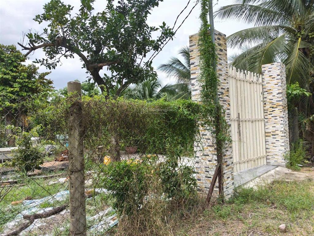 Hiếm! nhà vườn 1.000m2 chỉ với 1tỷ250 triệu sở hữu ngay không gian xanh tại bình chánh
