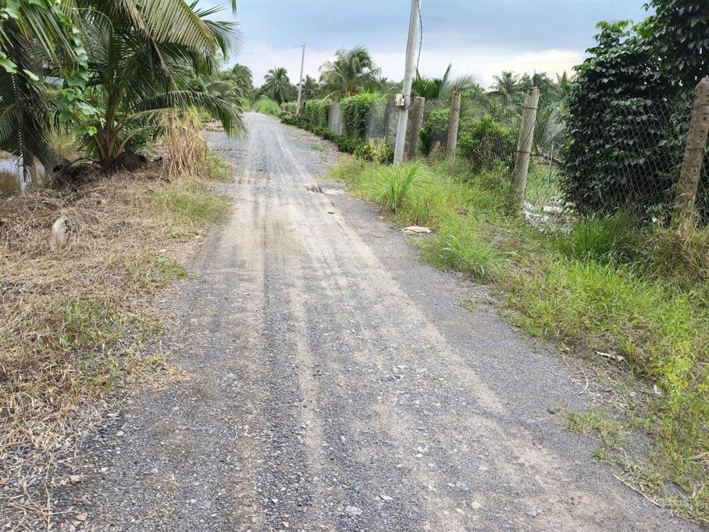 Hiếm! nhà vườn 1.000m2 chỉ với 1tỷ250 triệu sở hữu ngay không gian xanh tại bình chánh