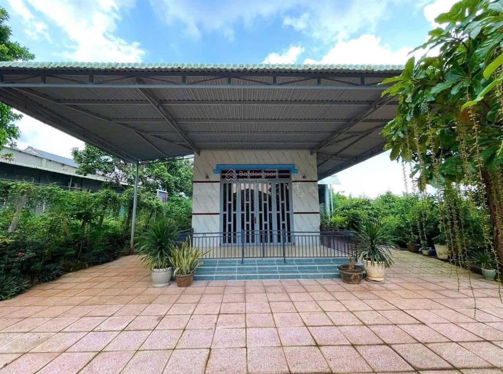 Bán đất vườn 700m2 chỉ 810 triệu có nhà cấp 4 vườn trái cây tại trừ văn thố, bàu bàng