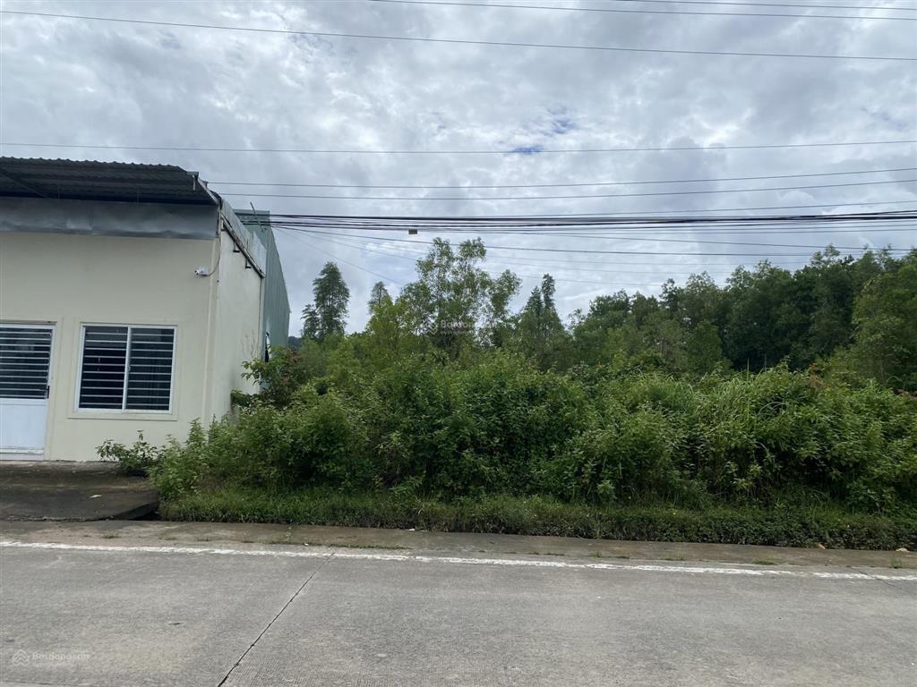 Bán đất ngộp mặt tiền bến tràm, phú quốc, cách chợ 300m, 1.517m2 xây khách sạn, chdv đẹp chỉ 18tỷ