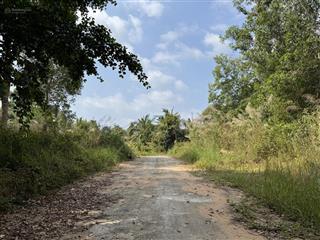 Bán đất cửa lấp, khu tây phú quốc, gần chợ đêm 3500m2 làm homestay siêu đẹp, giáp rừng, giá 13tr/m2