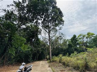 Bán đất cửa lấp, khu tây phú quốc, gần chợ đêm 3230m2 làm homestay siêu đẹp, giáp rừng, 10tr/m2