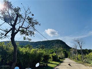 Bán đất xây biệt thự vườn búng gội, 494m2 full thổ cư đường 5m, view núi rất đẹp, giá chỉ 3.8tỷ tl