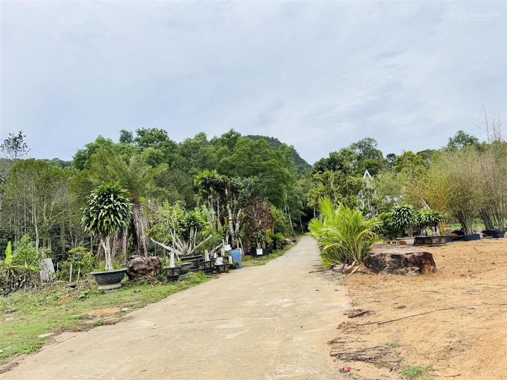 Bán đất view núi đẹp, đường 5m cách búng gội 50m, 494.5m2 full thổ cư, ngang 16.5m xây villa 4.2tỷ