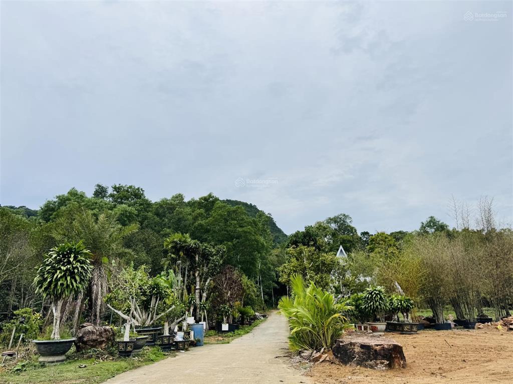 Bán đất view núi đẹp, đường 5m cách búng gội 50m, 494.5m2 full thổ cư, ngang 16.5m xây villa 4.2tỷ