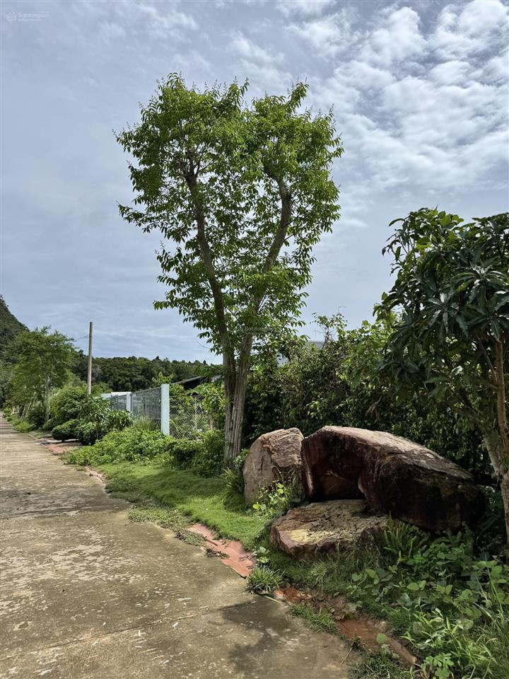 Bán đất view núi đẹp, đường 5m cách búng gội 50m, 494.5m2 full thổ cư, ngang 16.5m xây villa 4.2tỷ