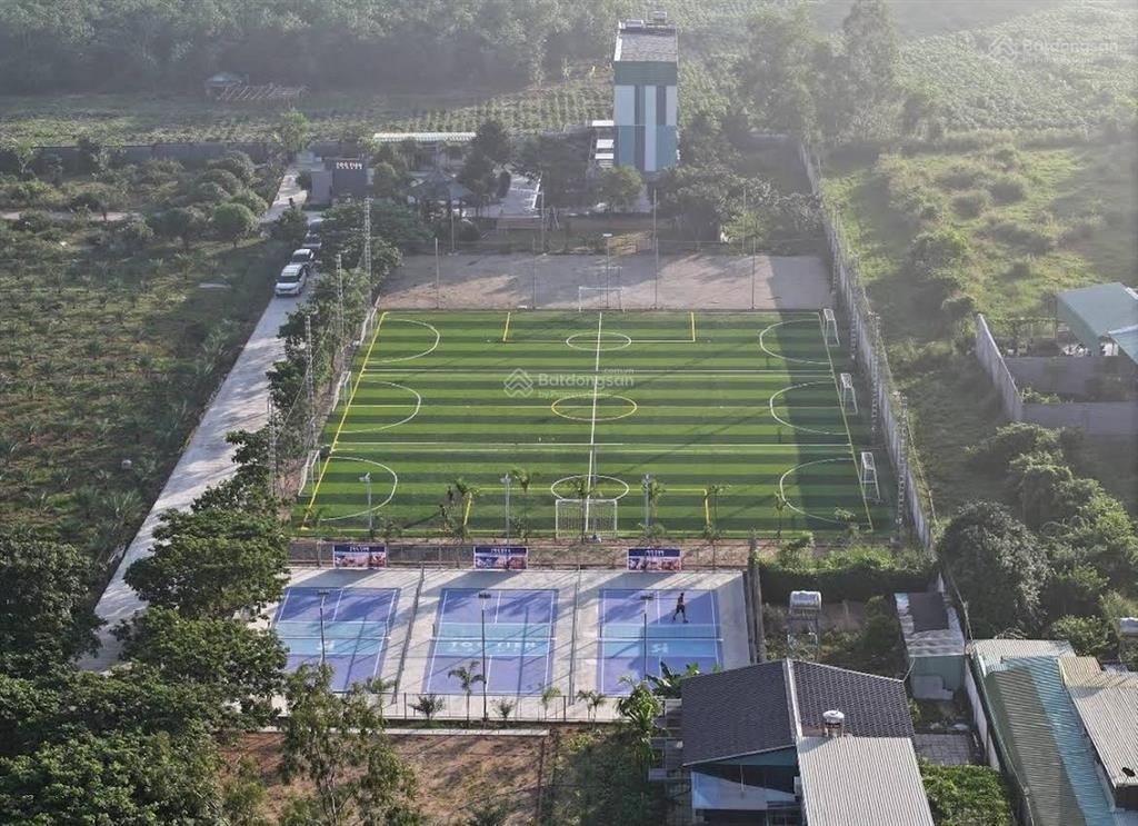 Đất vườn 7000m tại phú mỹ rộng hiếm, làm farmstay cực đẹp