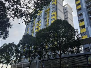  mr quang cđt intresco bán block d2 terra flora , nhà mới xây ,giao nhà cuối 2026