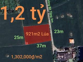 Bán gấp lô đất lúa gần trục động lực giá 1,2 tỷ