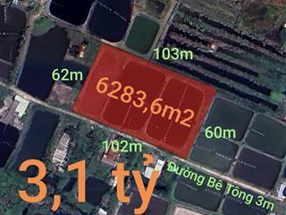 Bán gấp lô lúa chuyển thổ phân lô giá đầu tư 3,1 tỷ