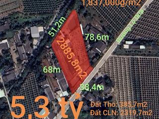 Bán đất thổ vườn đường Lộ Dừa giá 5,3 tỷ